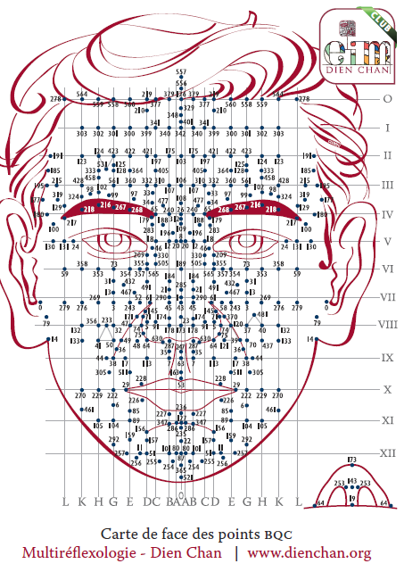 Carte des points de réflexologie sur le visage